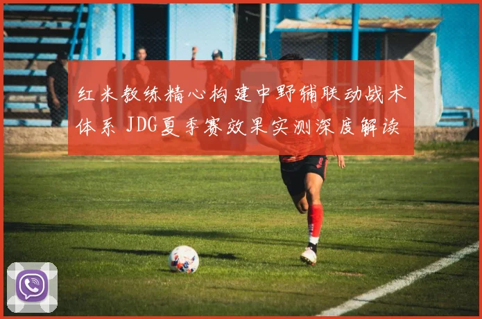 红米教练精心构建中野辅联动战术体系 JDG夏季赛效果实测深度解读