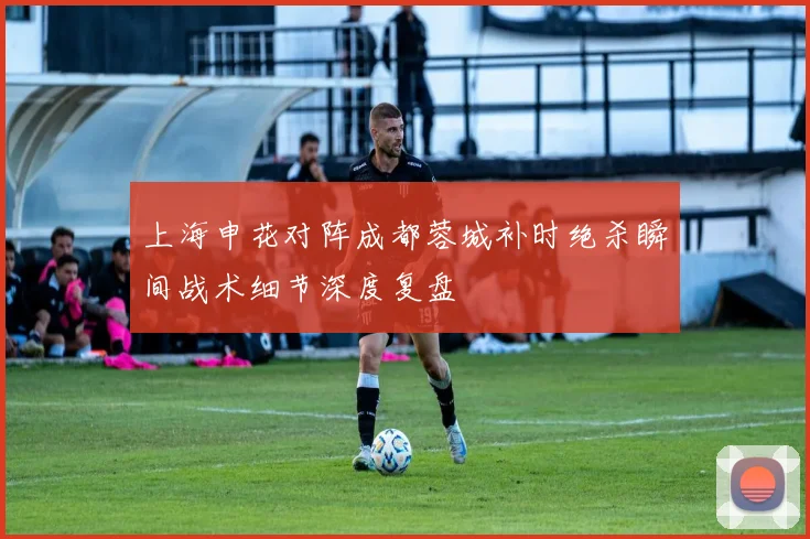 上海申花对阵成都蓉城补时绝杀瞬间战术细节深度复盘