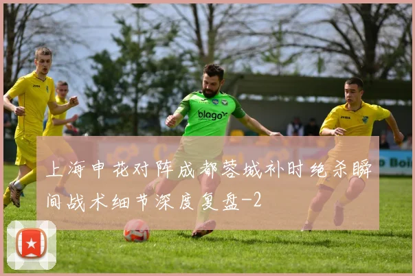 上海申花对阵成都蓉城补时绝杀瞬间战术细节深度复盘
