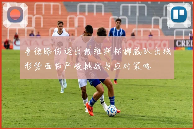鲁德膝伤退出戴维斯杯挪威队出线形势面临严峻挑战与应对策略