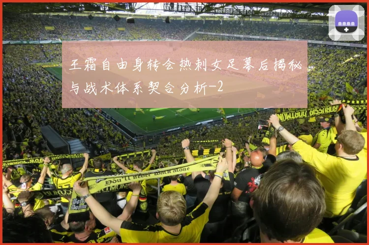 王霜自由身转会热刺女足幕后揭秘与战术体系契合分析